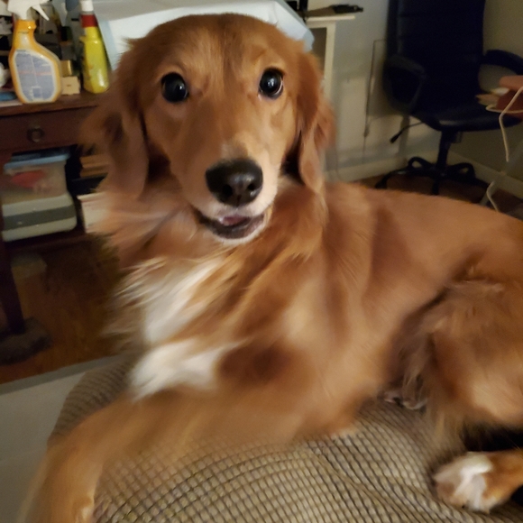 None - Picture 15 of 16